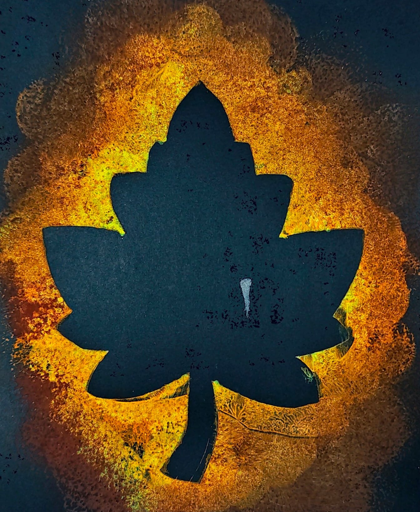 Premierea „Toamna, anotimpul recoltelor!”