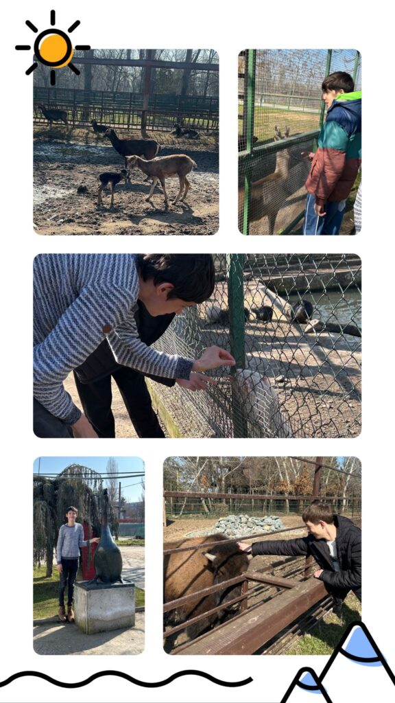 Colaj cu poze la microrezervatie