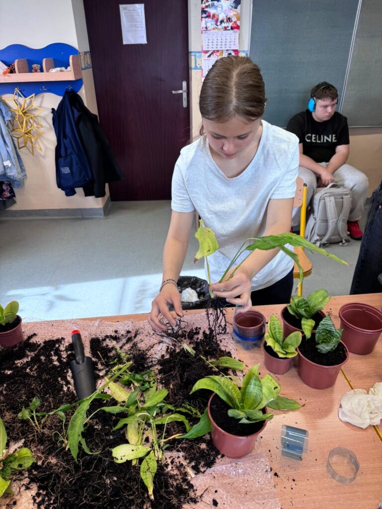 Activitate practica de plantare