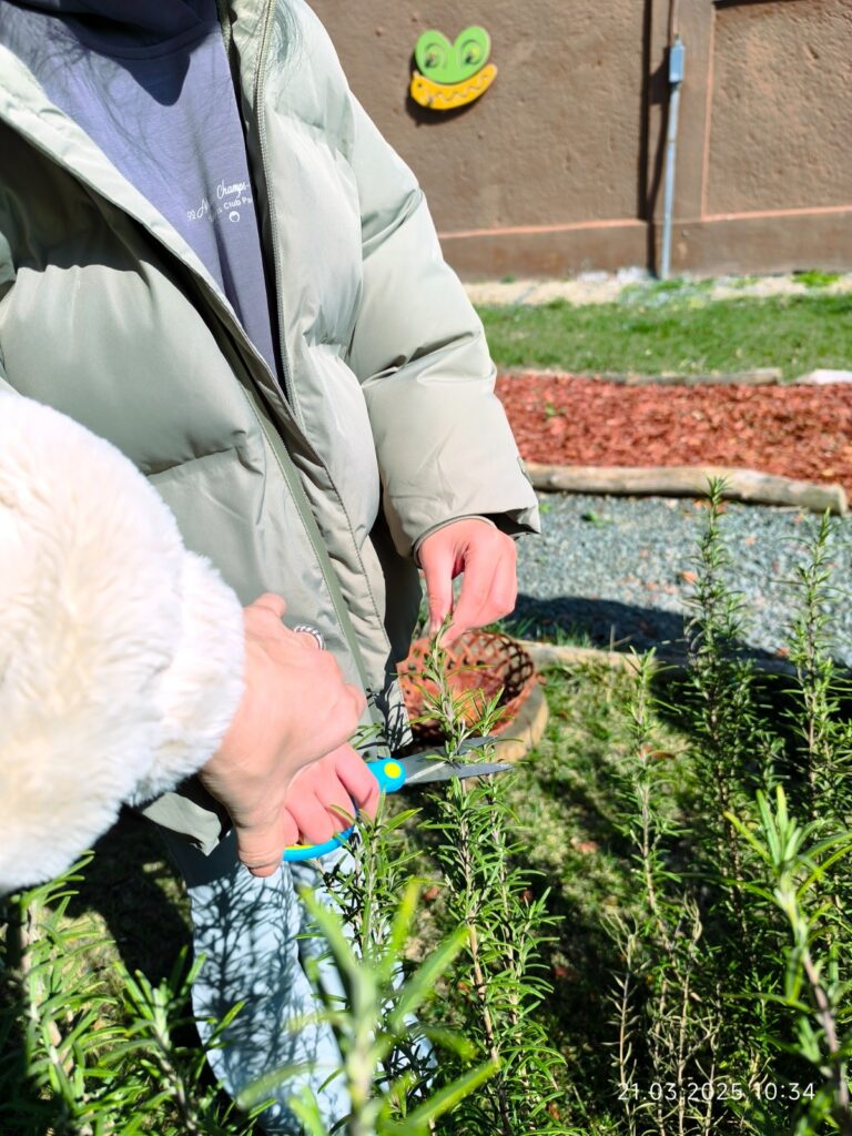 Elevă adună plante pentru infuzie