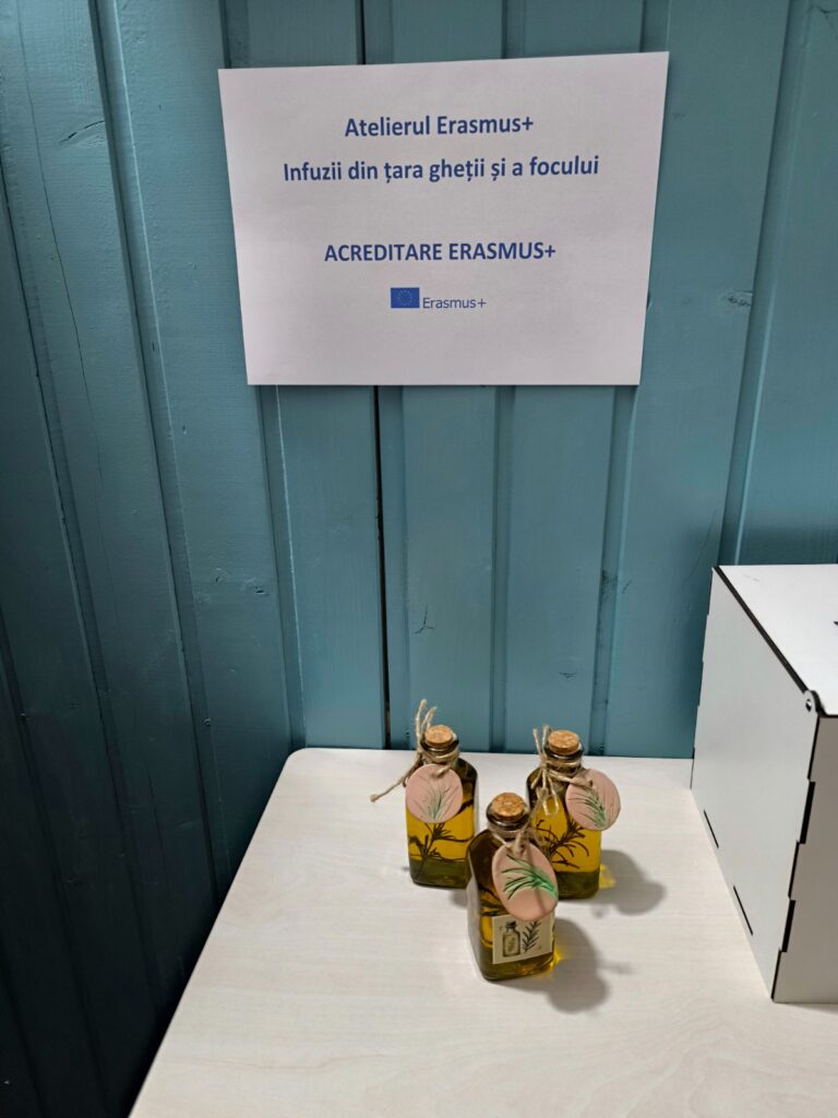 Borcanele realizate de elevi sub semul „Acreditare Erasmus” - titlul „Infuzii din țara gheții și a focului”