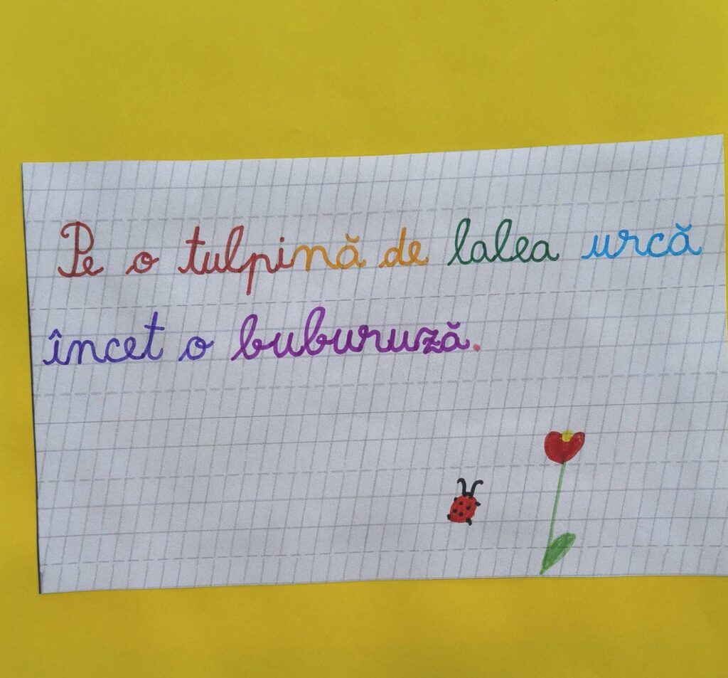 Text scris pe coală tip 1: Pe o tulpină de lalea urcă încet o buburuză