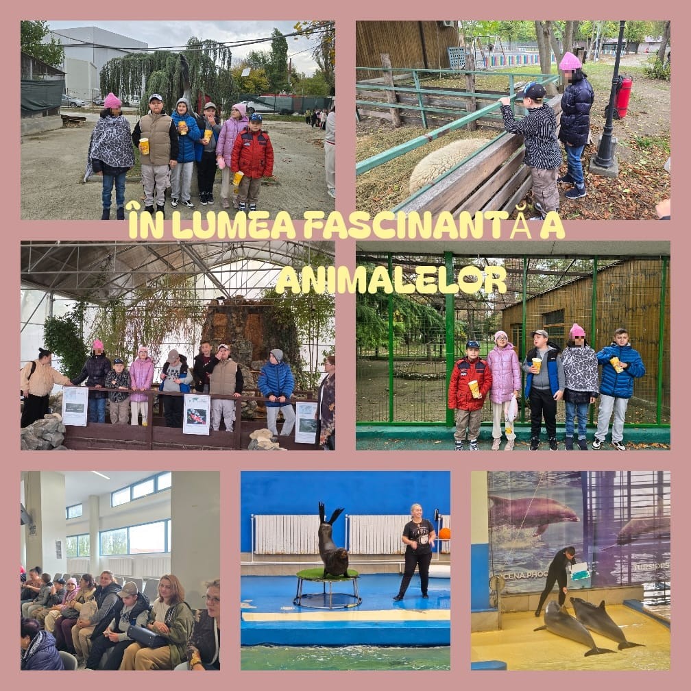 Colaj „În lumea fascinantă a animalelor”: elevi și profesori la Microrezervație și la delfinariu, privind animalele, spectacolul cu foci și delfini.