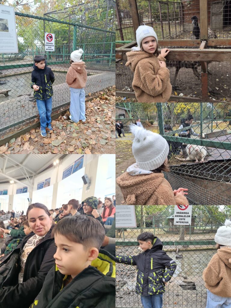 Colaj de la Microrezervație și delfinariu: copii care privesc animalele prin gard și elevi alături de profesori în tribuna delfinariului.