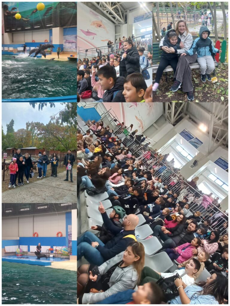 Colaj de la delfinariu și din parc: spectacolul cu delfini și foci, elevii în tribună, o pauză pe bancă și fotografie de grup în parc.