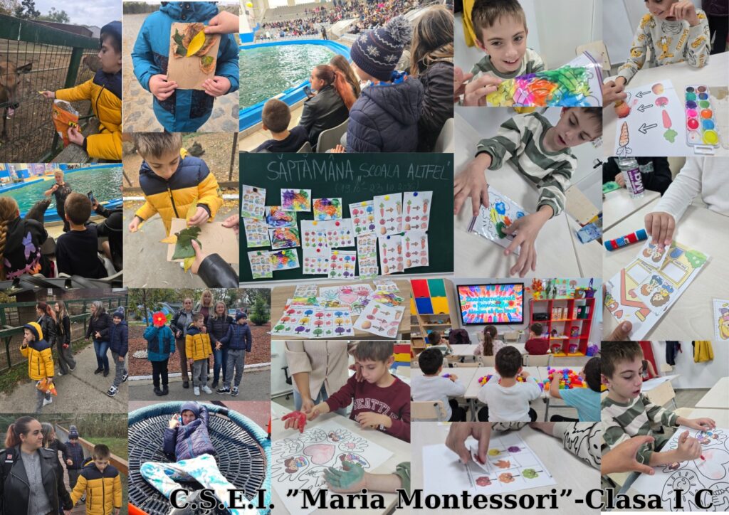 Clasa I C”: vizită la Microrezervație și la delfinariu, lucrări cu frunze, colorarea fructelor și legumelor, panoul „Săptămâna Școala Altfel” și jocuri la tabla interactivă.