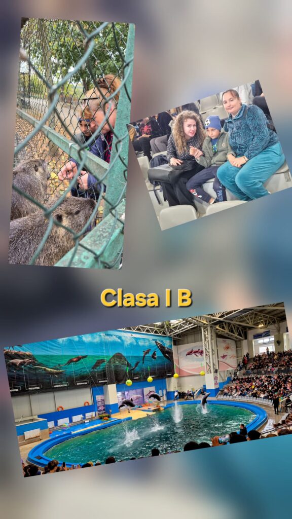 Colaj clasa I B: un copil privește animalele prin gard la Microrezervație, elevi și profesoare în tribună și spectacolul cu delfini de la delfinariu.