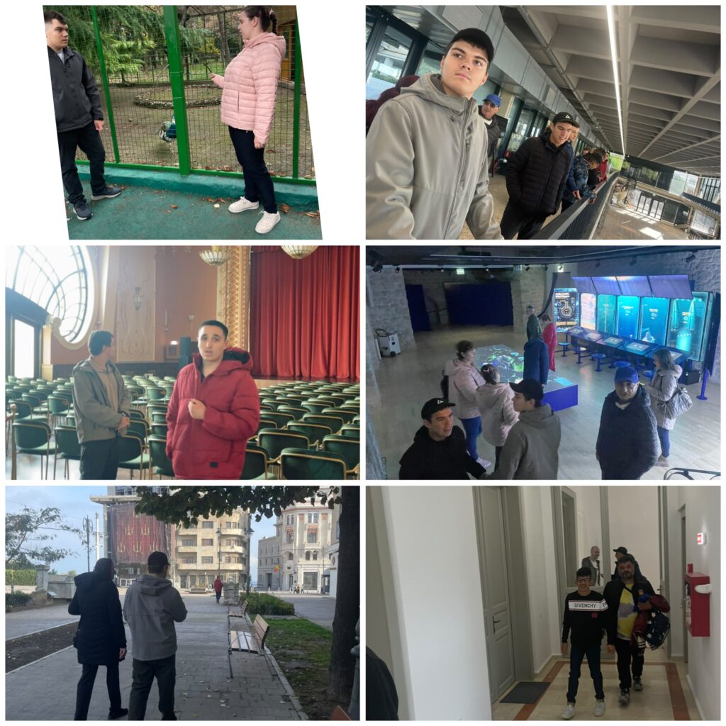 Colaj de la ieșirea elevilor mai mari: vizită la Microrezervație, într-o sală de spectacole, la o expoziție interactivă și plimbare prin centrul vechi al orașului.